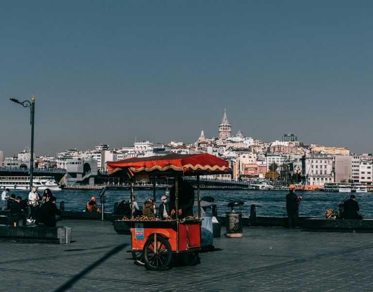 Istanbul market and coast